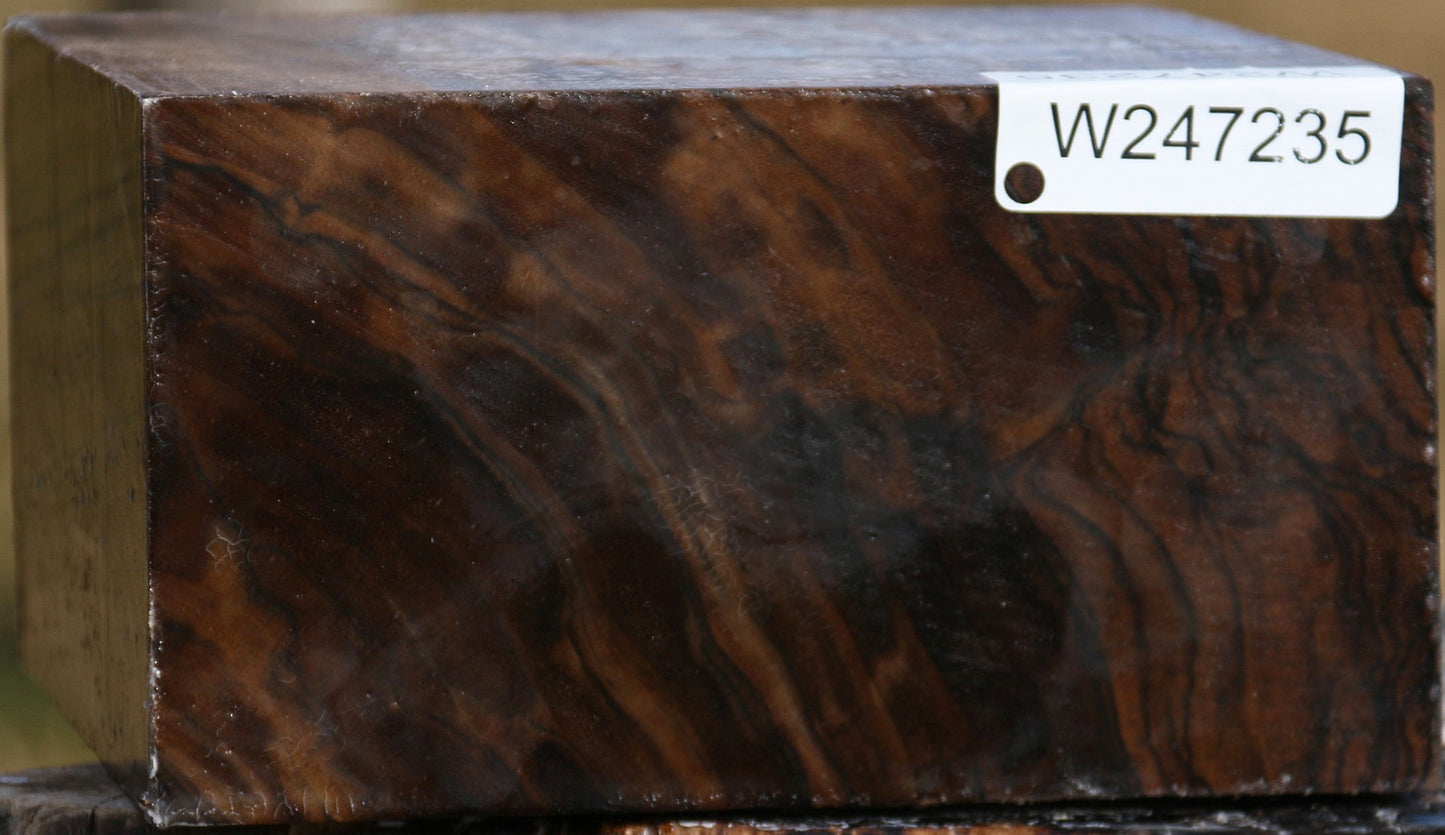 Extra Fancy English Walnut Bowl Blank