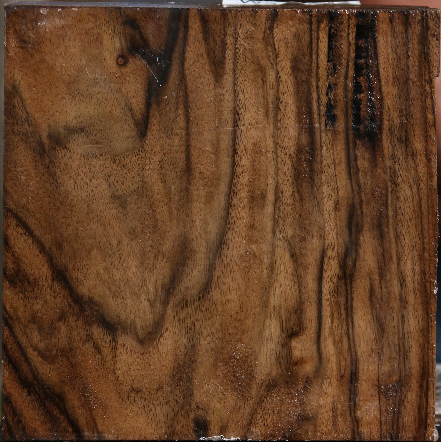 Exhibition English Walnut Bowl Blank
