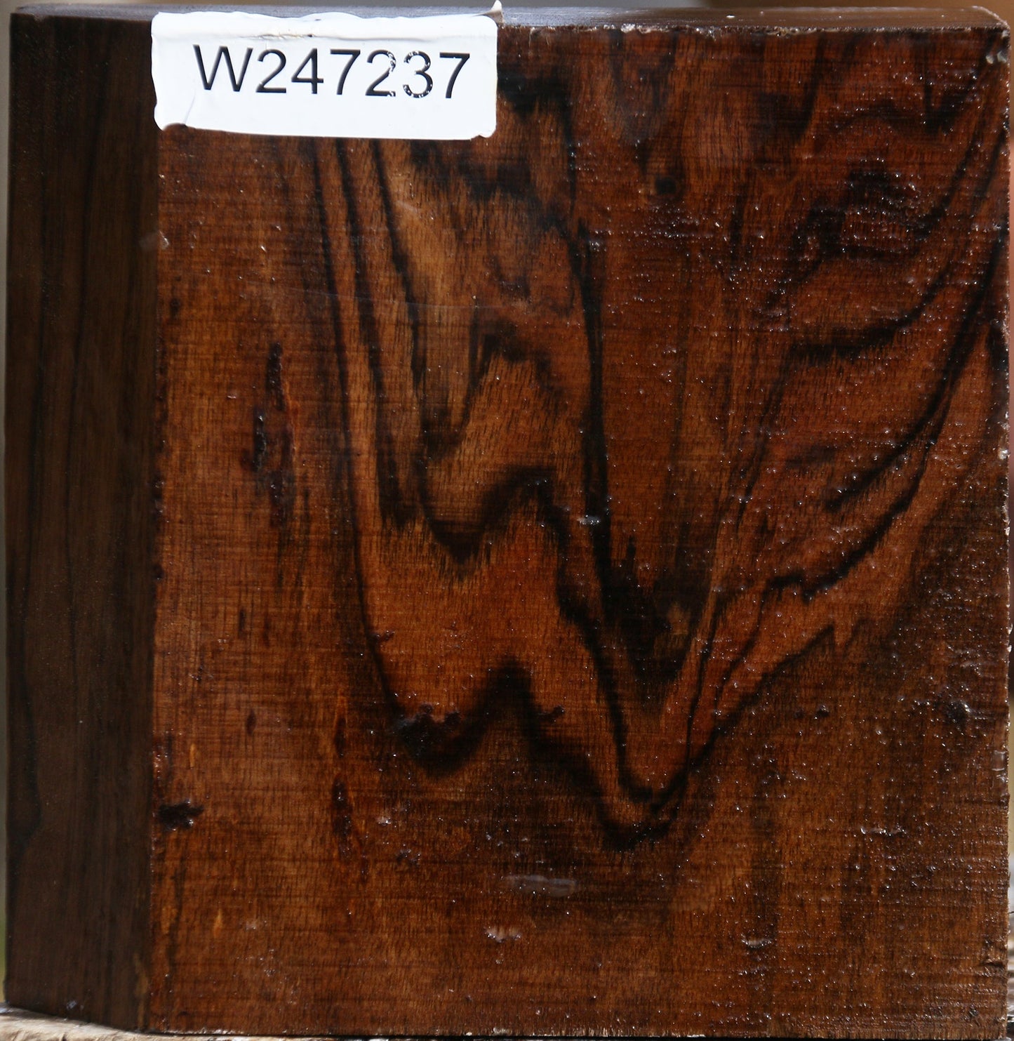 Exhibition English Walnut Bowl Blank