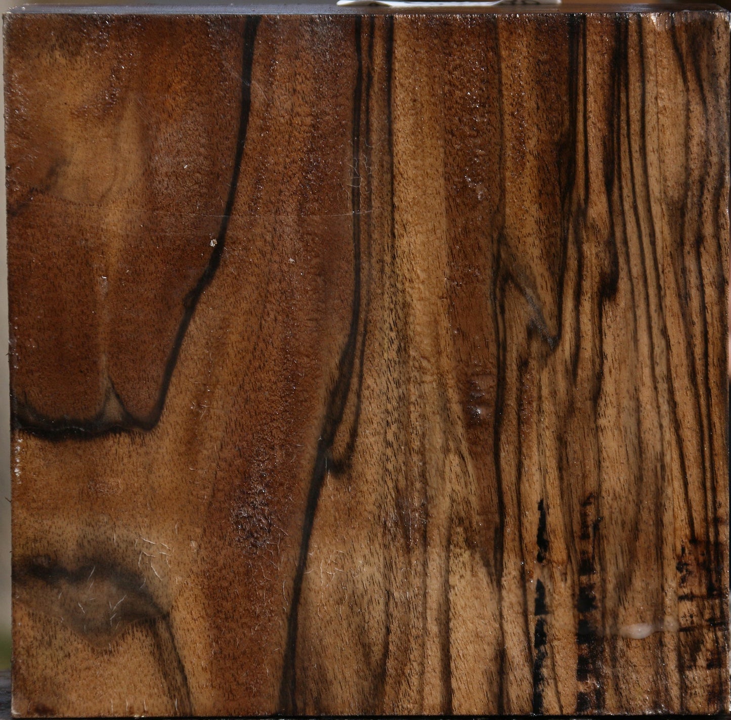 Exhibition English Walnut Bowl Blank