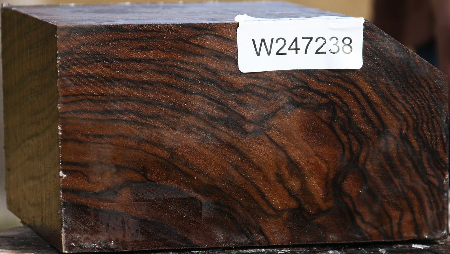 Exhibition English Walnut Bowl Blank