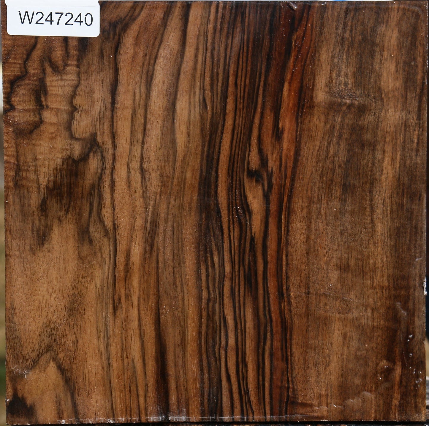 Exhibition English Walnut Bowl Blank