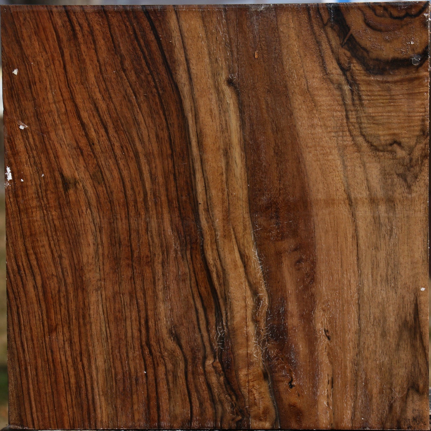 Exhibition English Walnut Bowl Blank