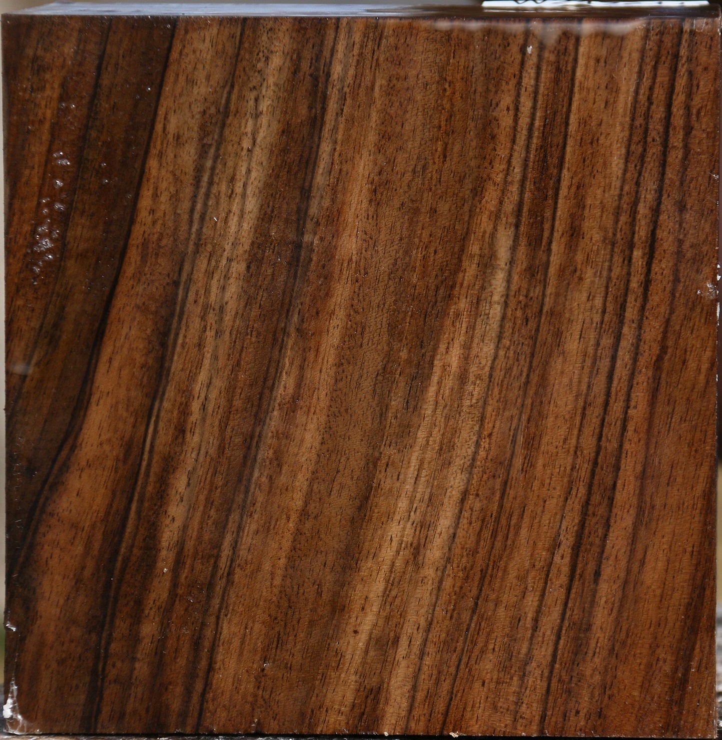 Extra Fancy English Walnut Bowl Blank