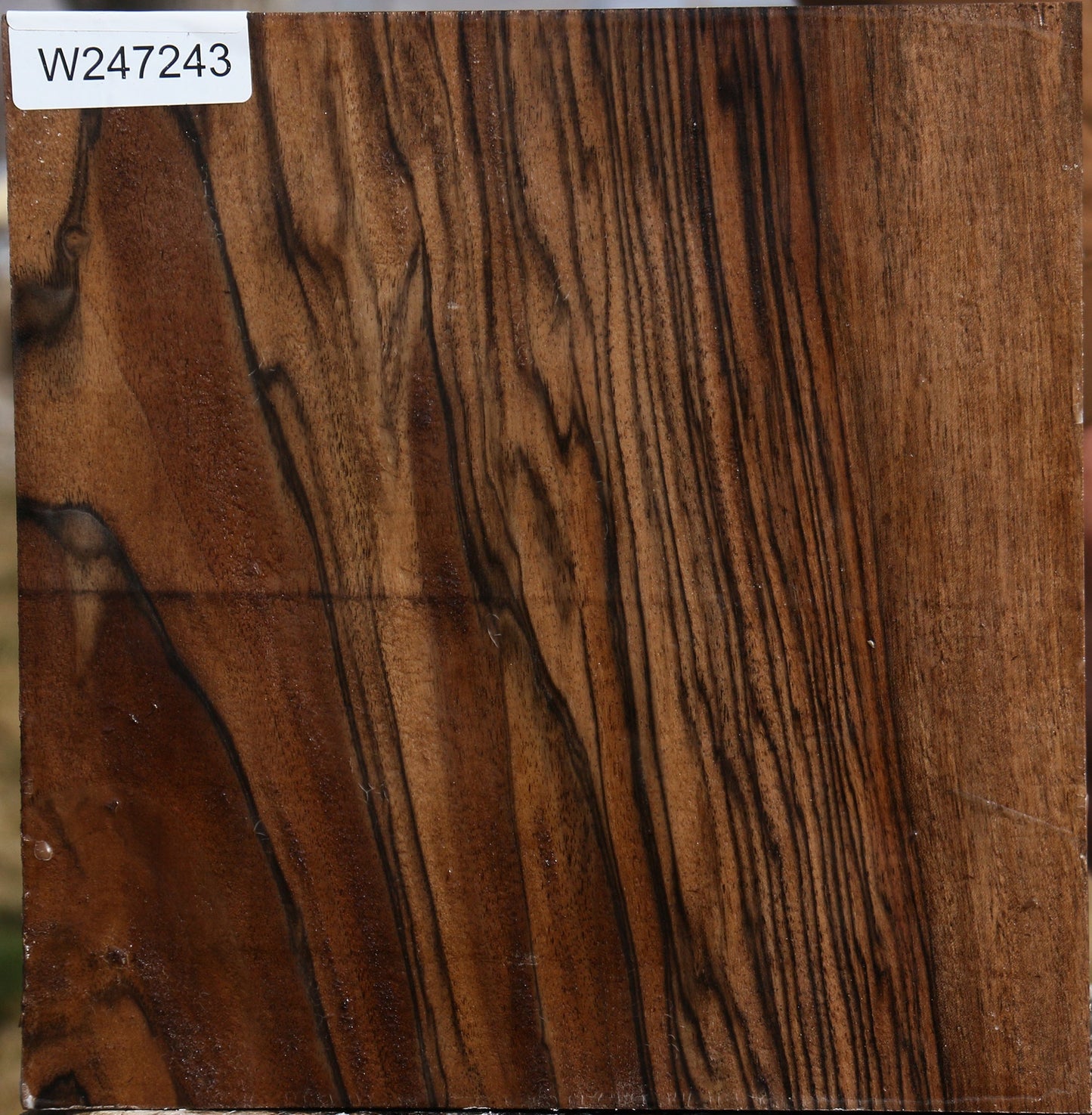 Extra Fancy English Walnut Bowl Blank