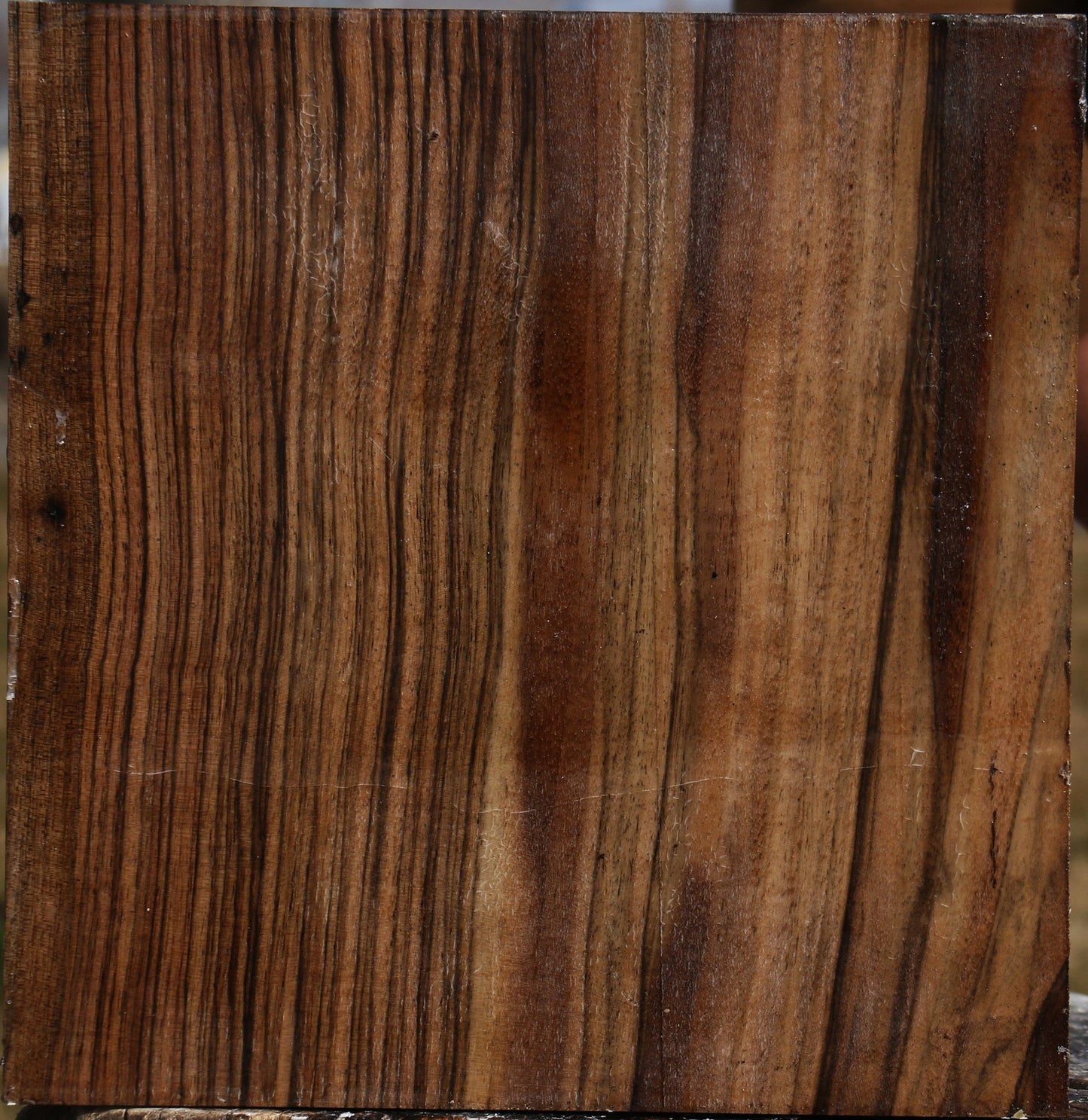 Extra Fancy English Walnut Bowl Blank