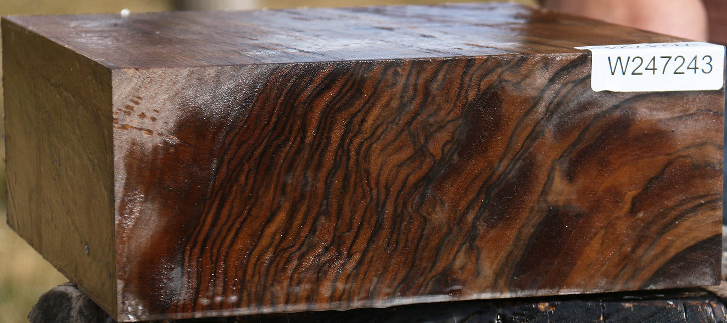Extra Fancy English Walnut Bowl Blank
