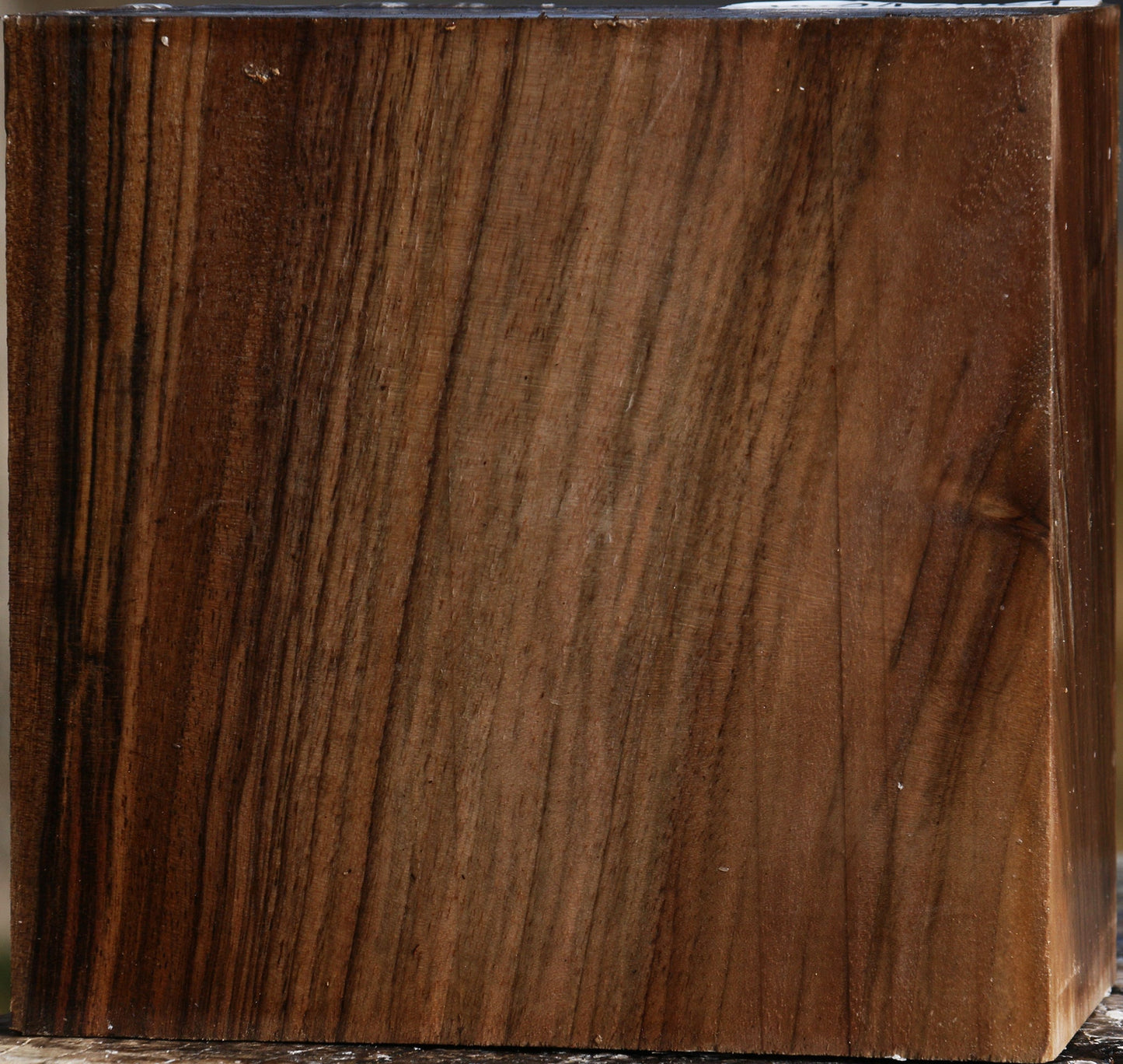 Figured English Walnut Bowl Blank