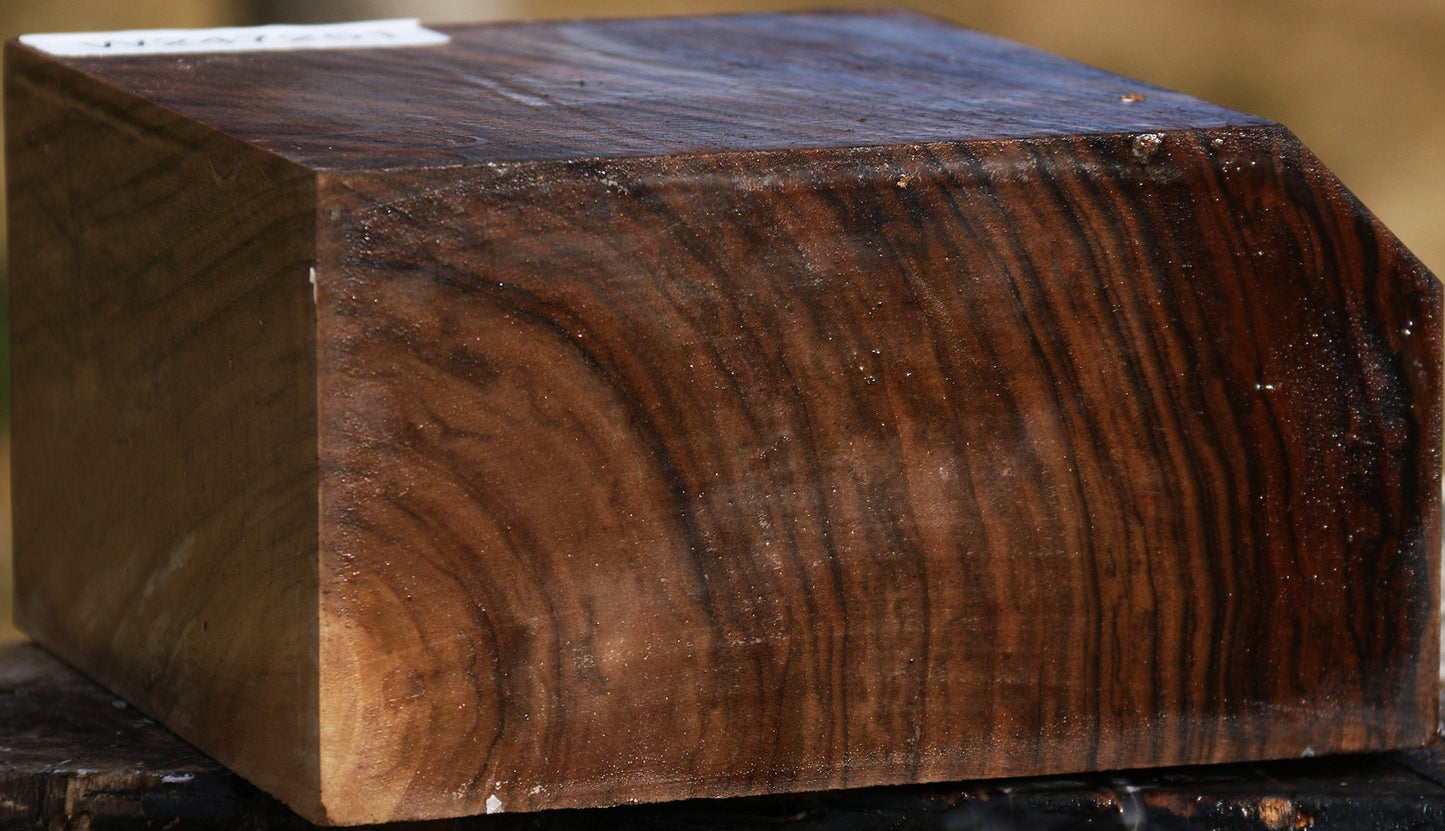Figured English Walnut Bowl Blank