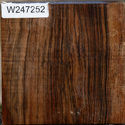 Exhibition English Walnut Bowl Blank