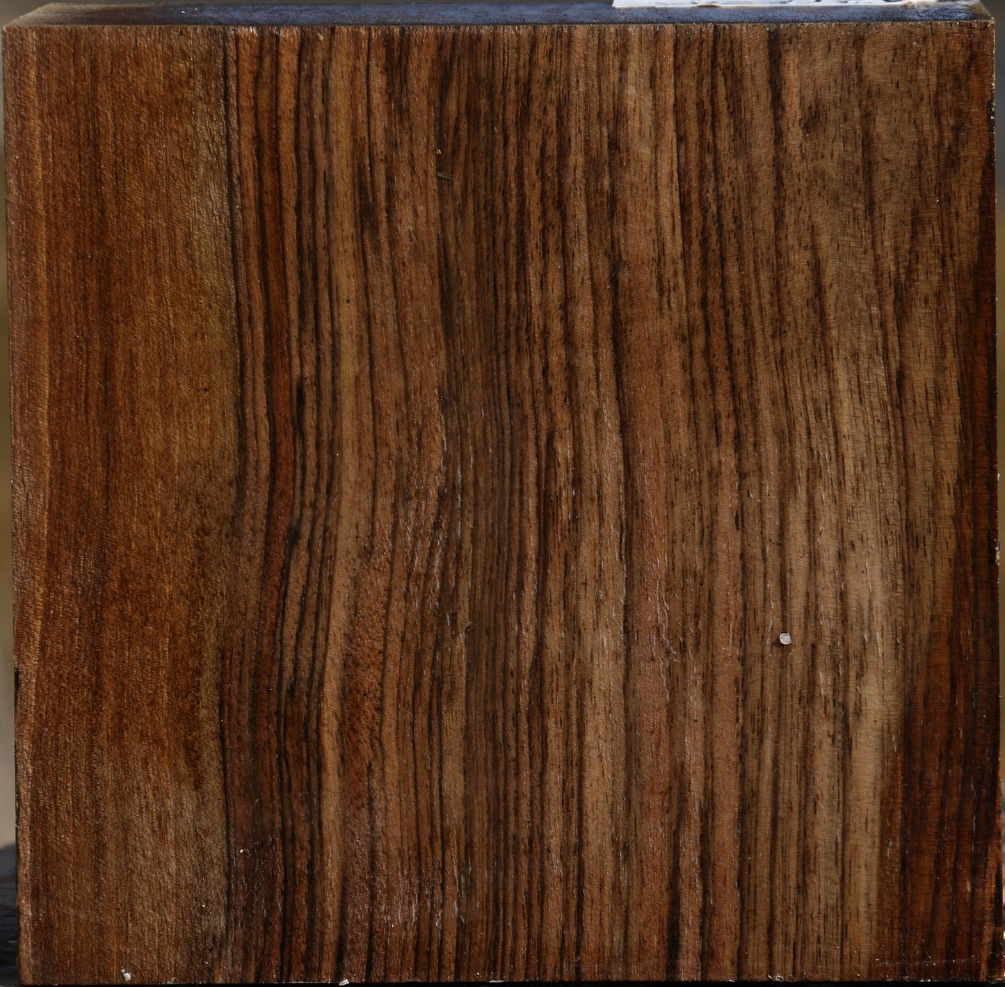 Exhibition English Walnut Bowl Blank