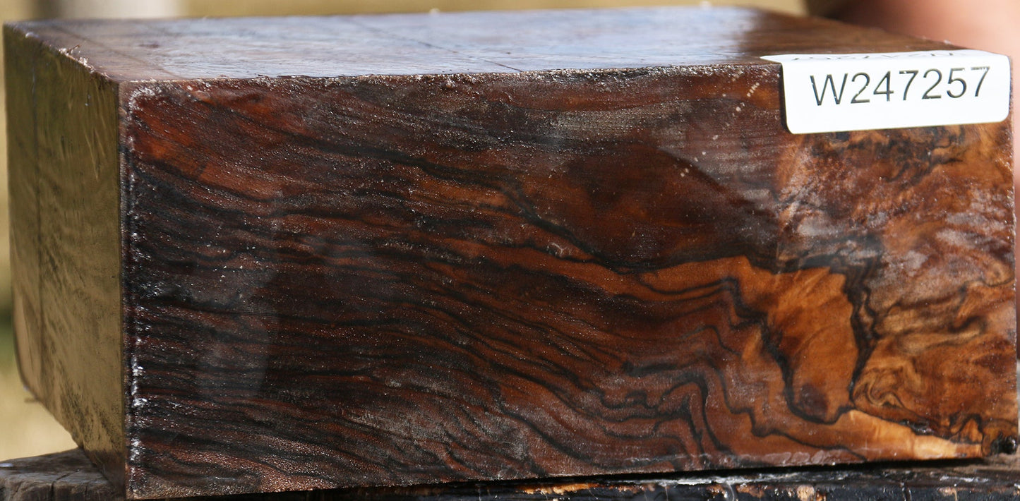 Exhibition Crotchwood English Walnut Bowl Blank