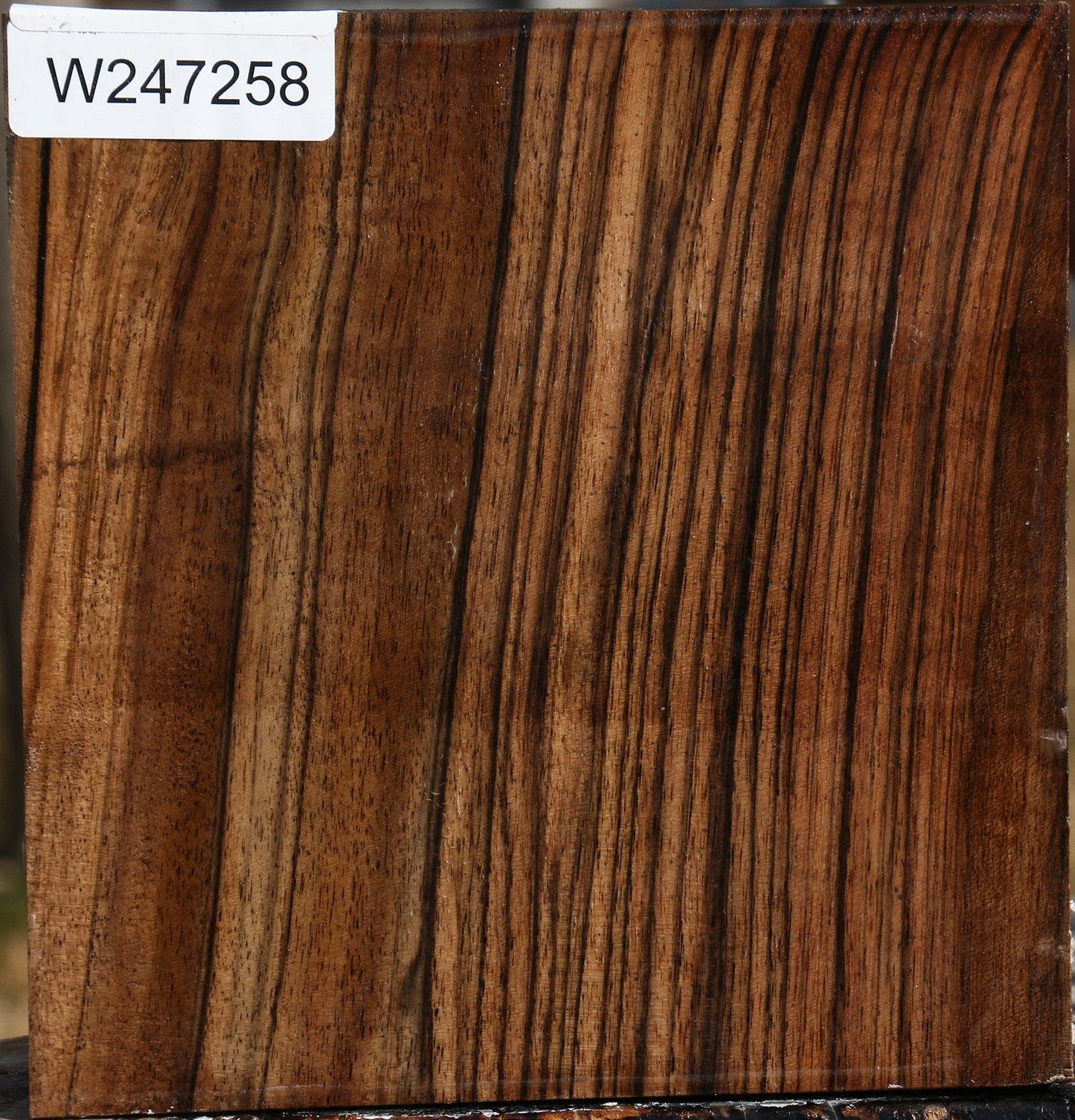 Extra Fancy English Walnut Bowl Blank