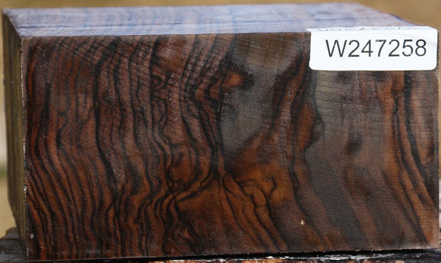 Extra Fancy English Walnut Bowl Blank
