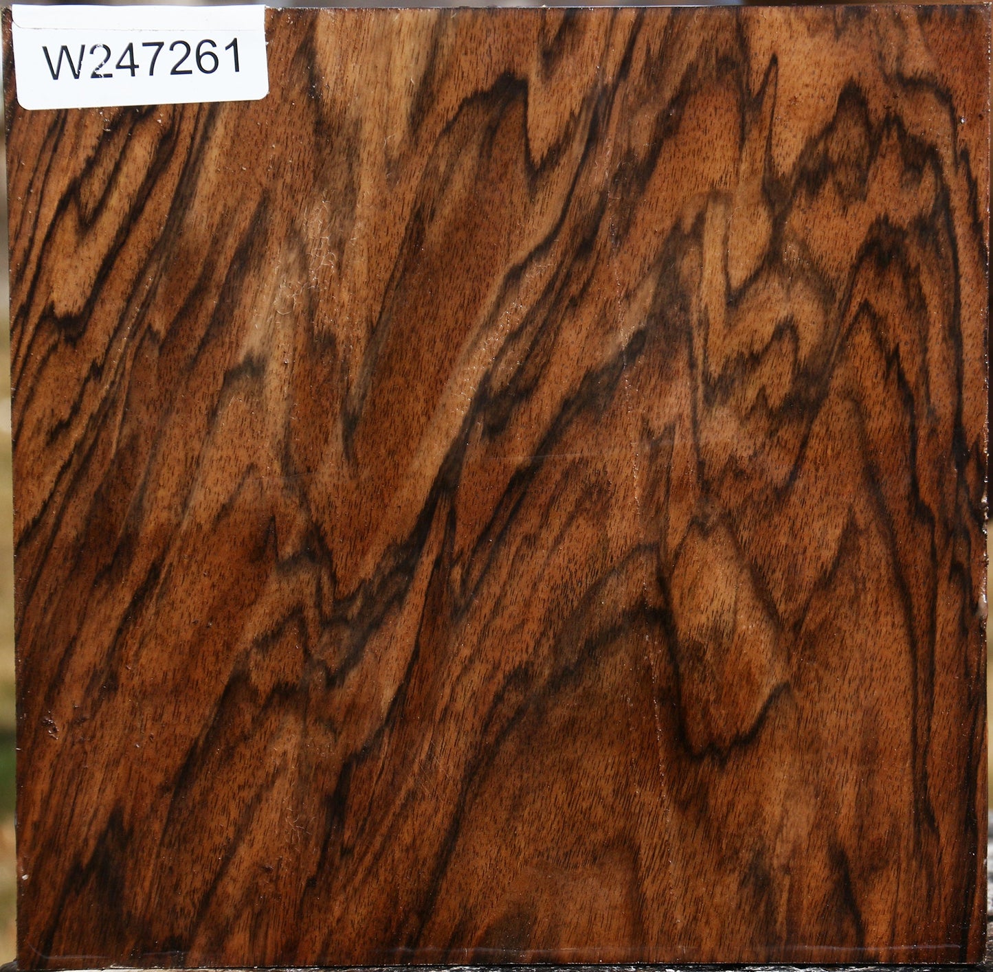 Extra Fancy English Walnut Bowl Blank