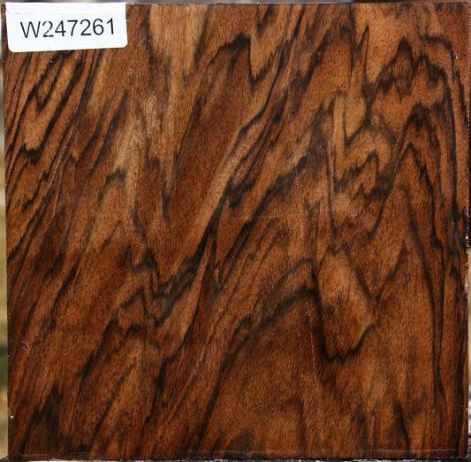 Extra Fancy English Walnut Bowl Blank