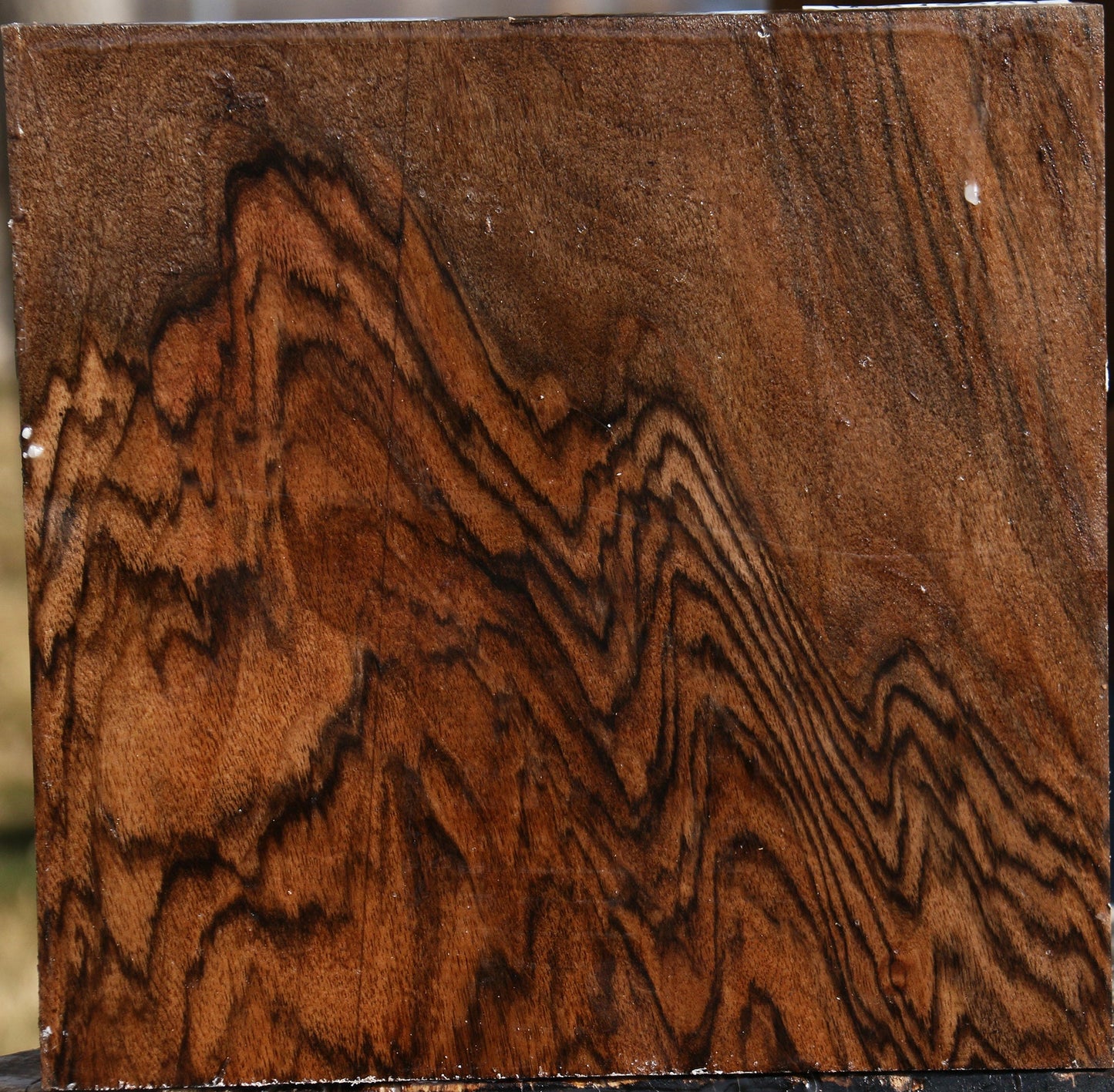 Extra Fancy English Walnut Bowl Blank