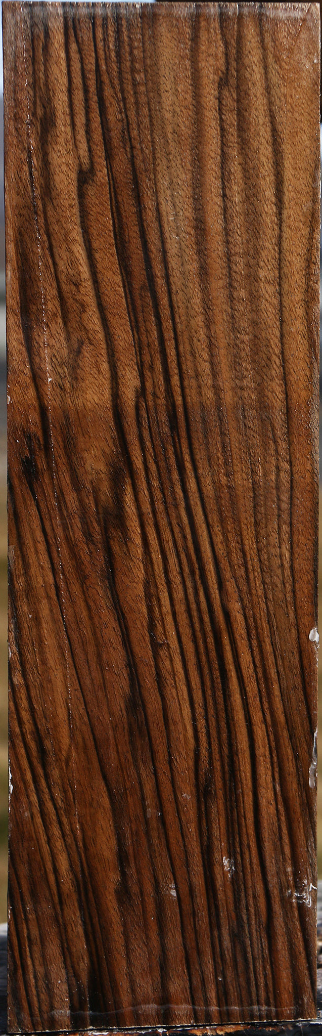 Extra Fancy English Walnut Vessel Blank
