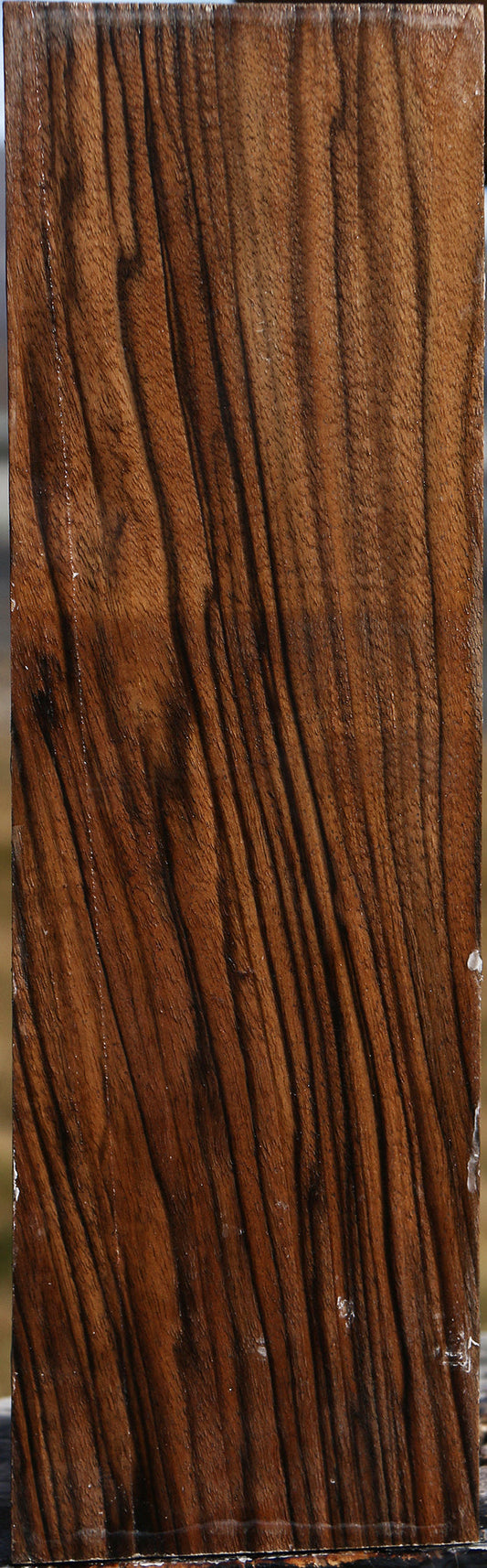 Extra Fancy English Walnut Vessel Blank