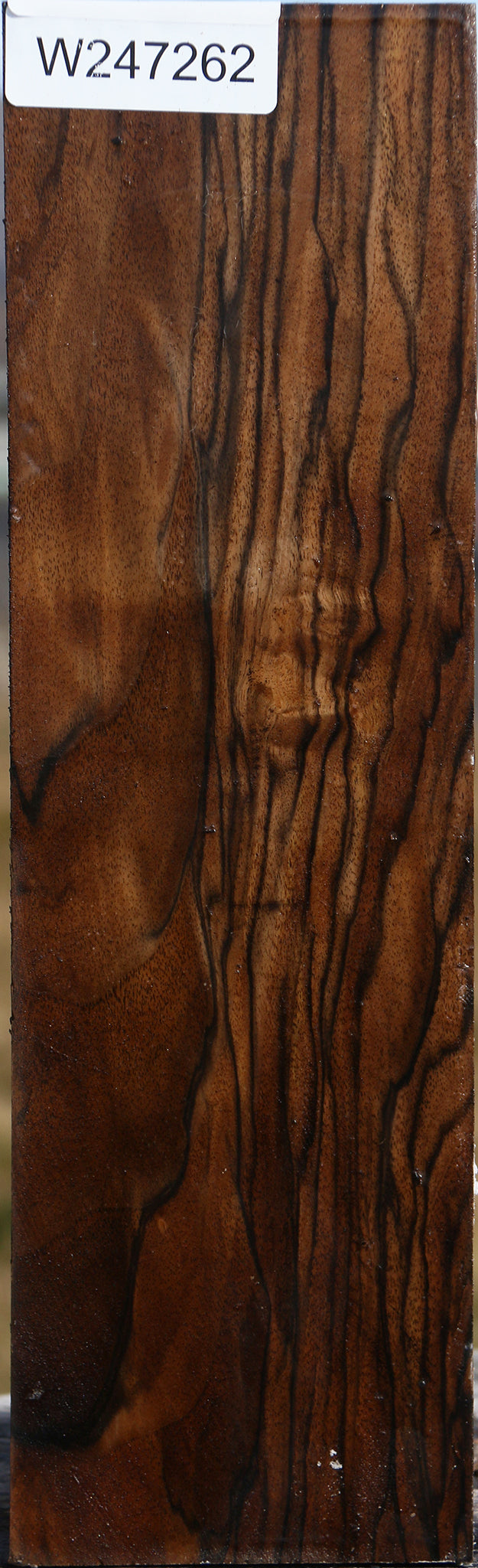 Extra Fancy English Walnut Vessel Blank