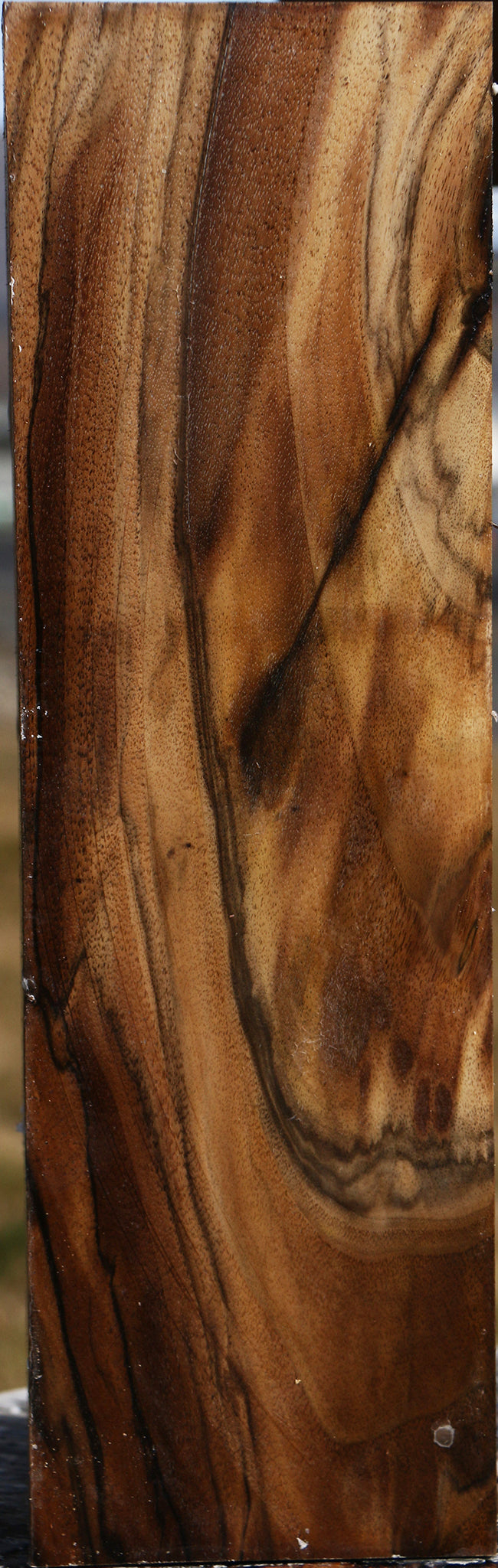 Extra Fancy English Walnut Vessel Blank