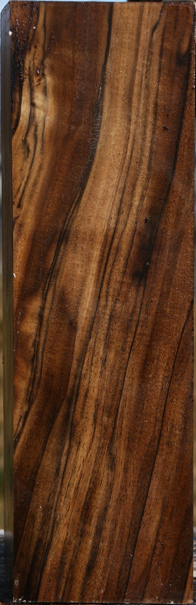 Extra Fancy English Walnut Vessel Blank