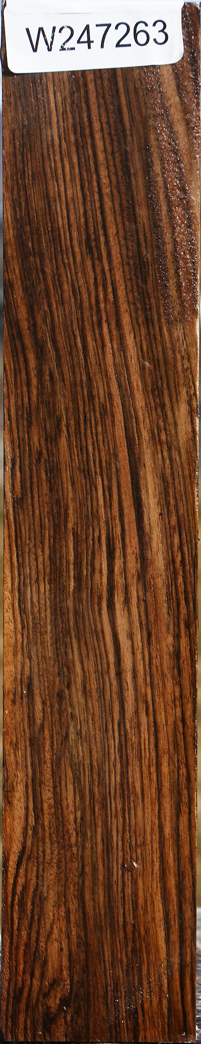 Extra Fancy English Walnut Forend