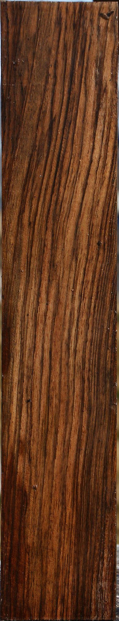 Extra Fancy English Walnut Forend