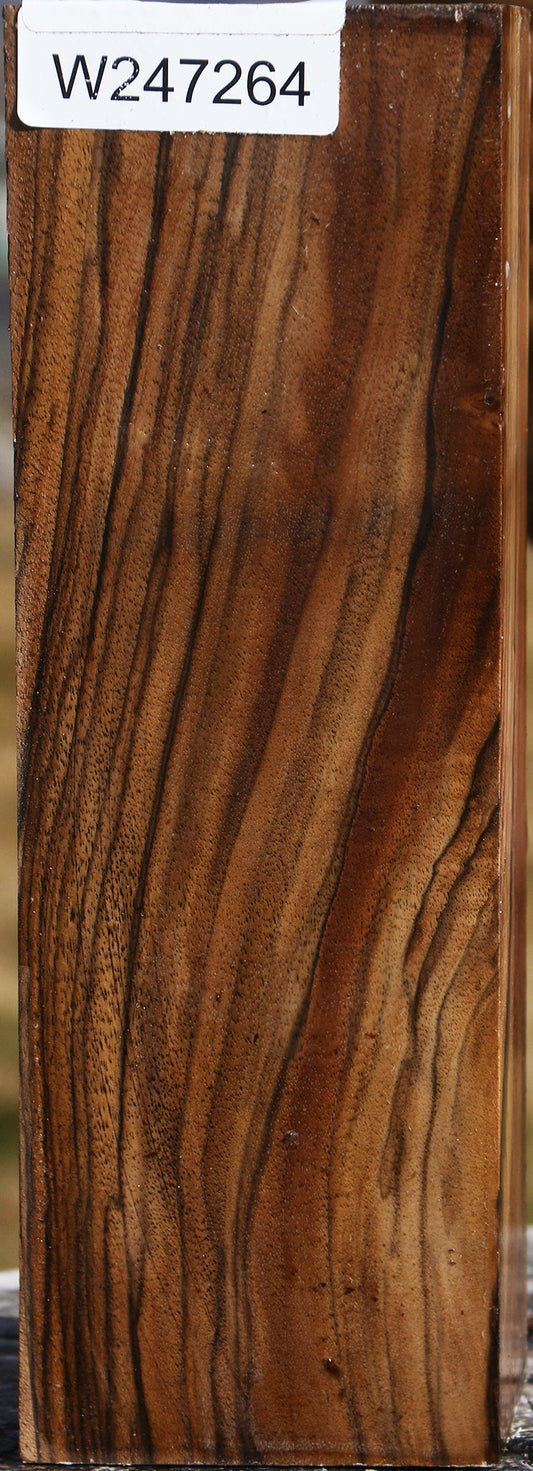 Extra Fancy English Walnut Vessel Blank