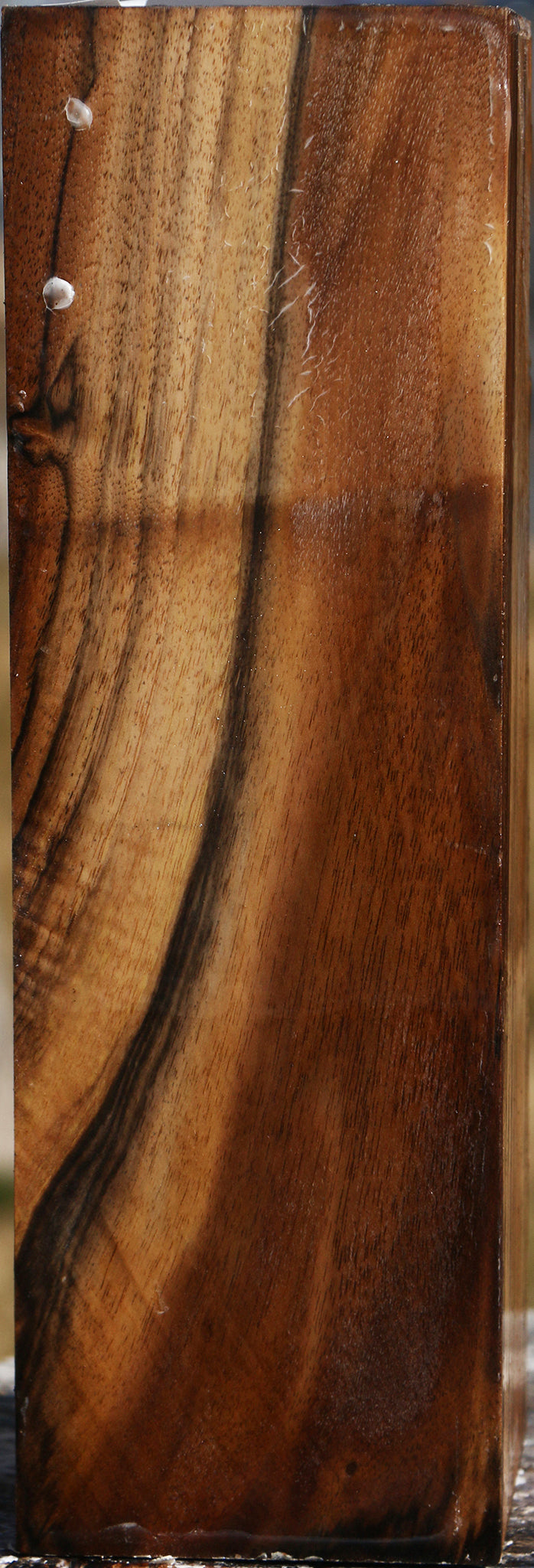 Extra Fancy English Walnut Vessel Blank