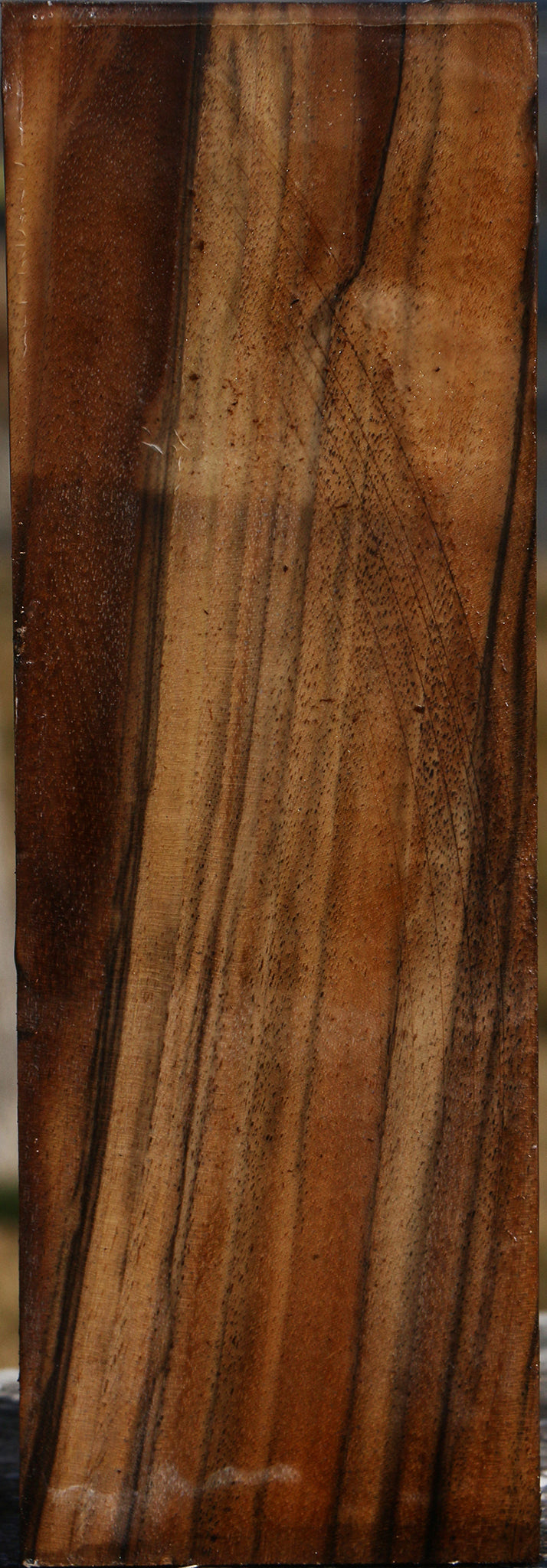 Extra Fancy English Walnut Vessel Blank