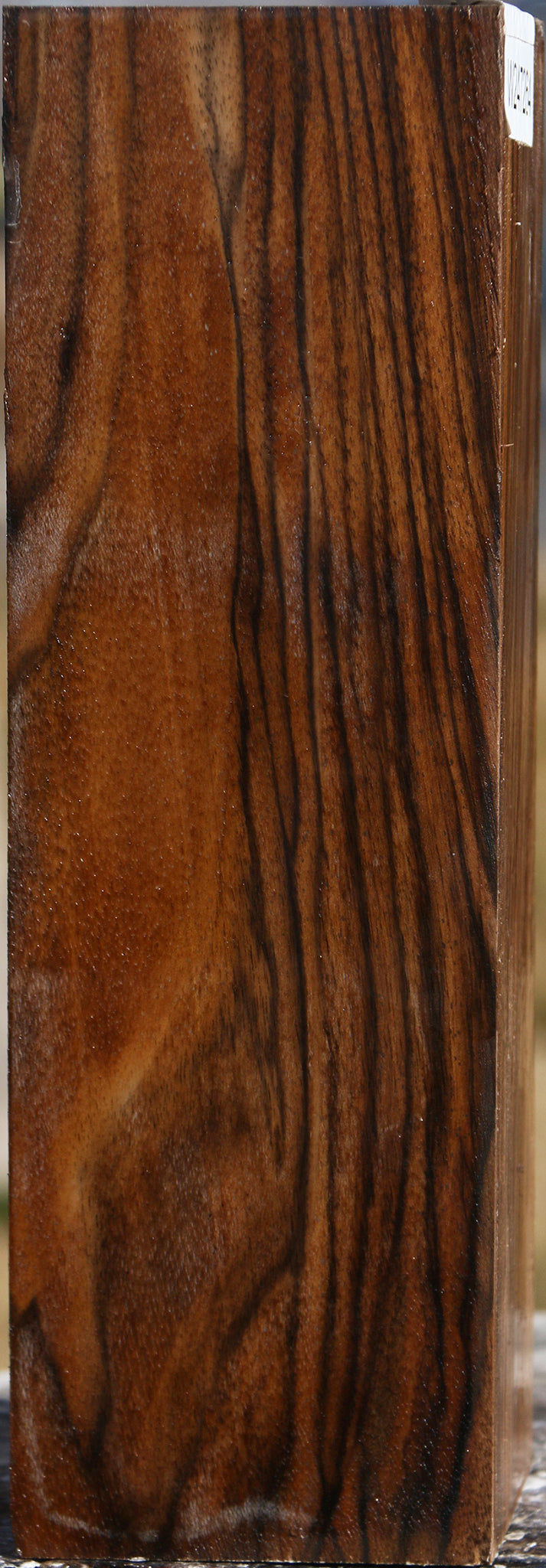 Extra Fancy English Walnut Vessel Blank