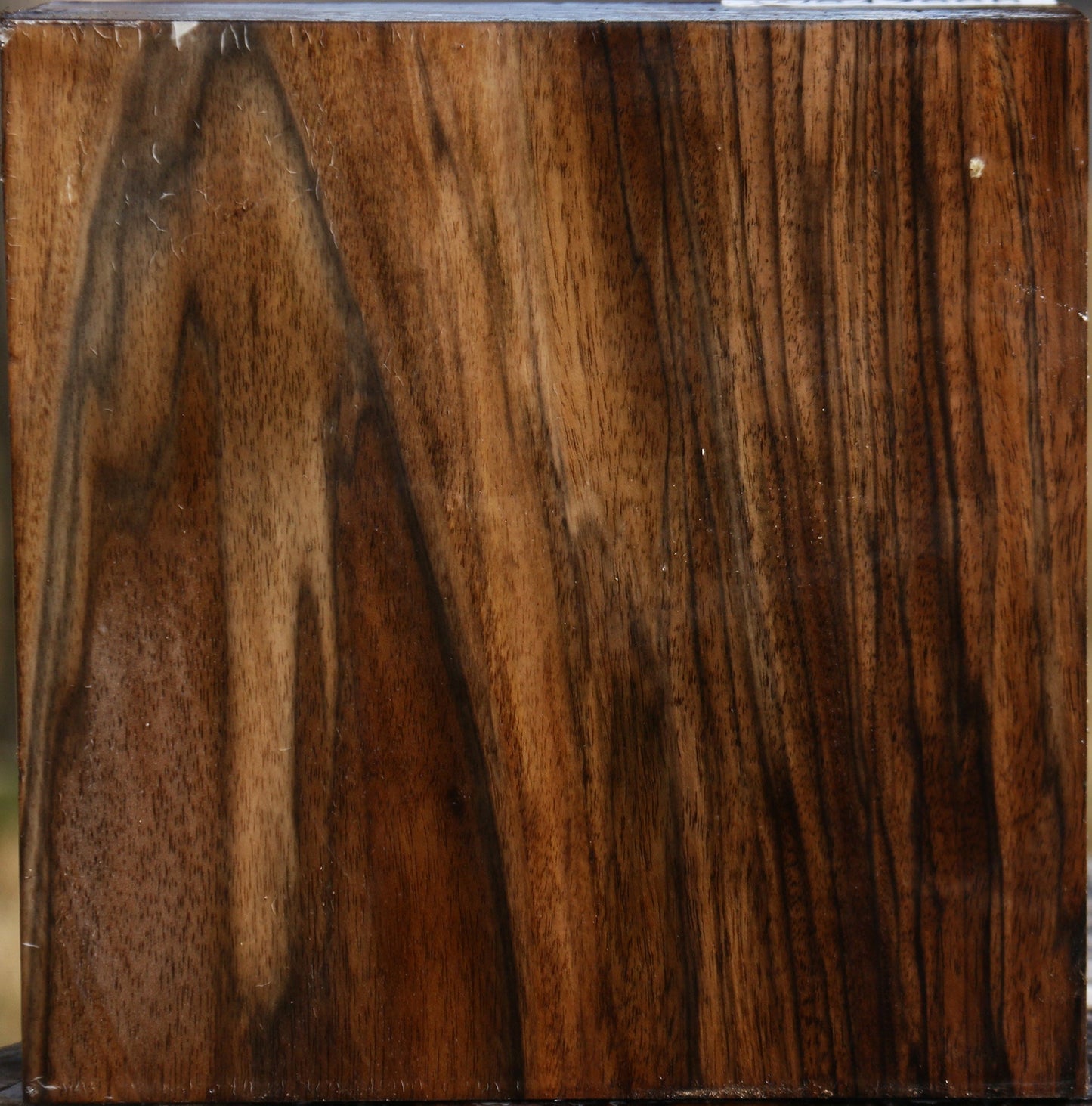Figured English Walnut Bowl Blank