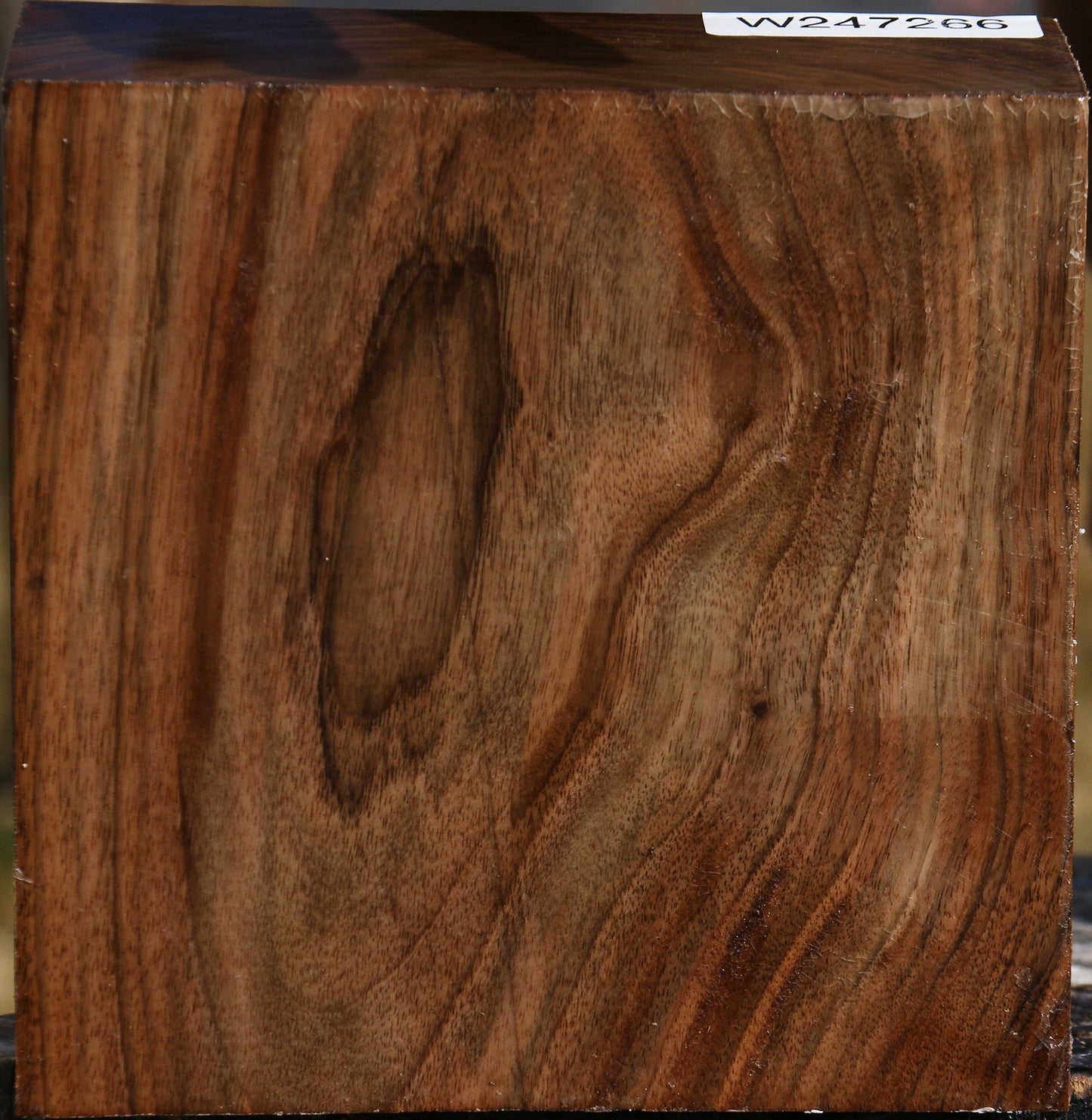 Figured English Walnut Bowl Blank