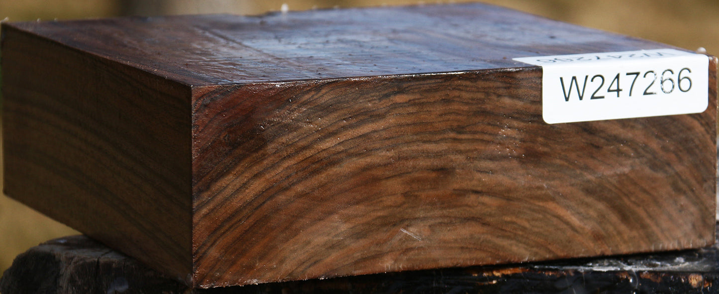 Figured English Walnut Bowl Blank