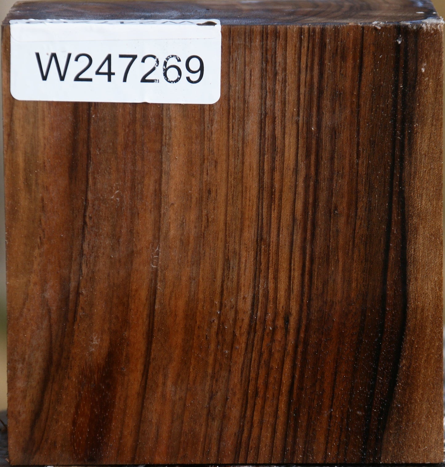 Figured English Walnut Bowl Blank