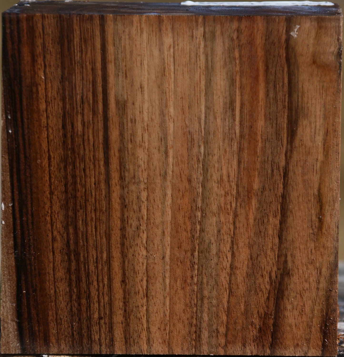 Figured English Walnut Bowl Blank