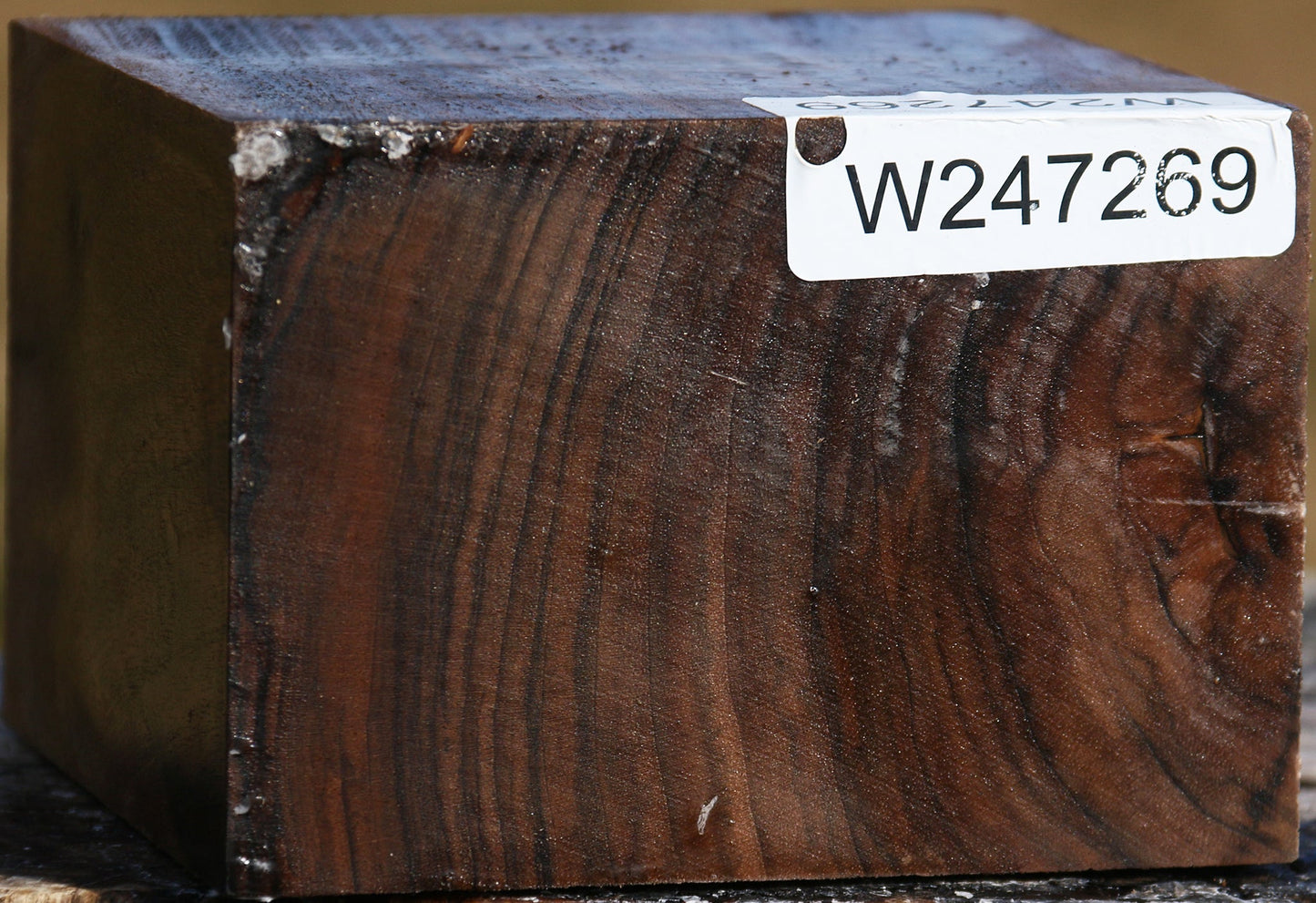 Figured English Walnut Bowl Blank