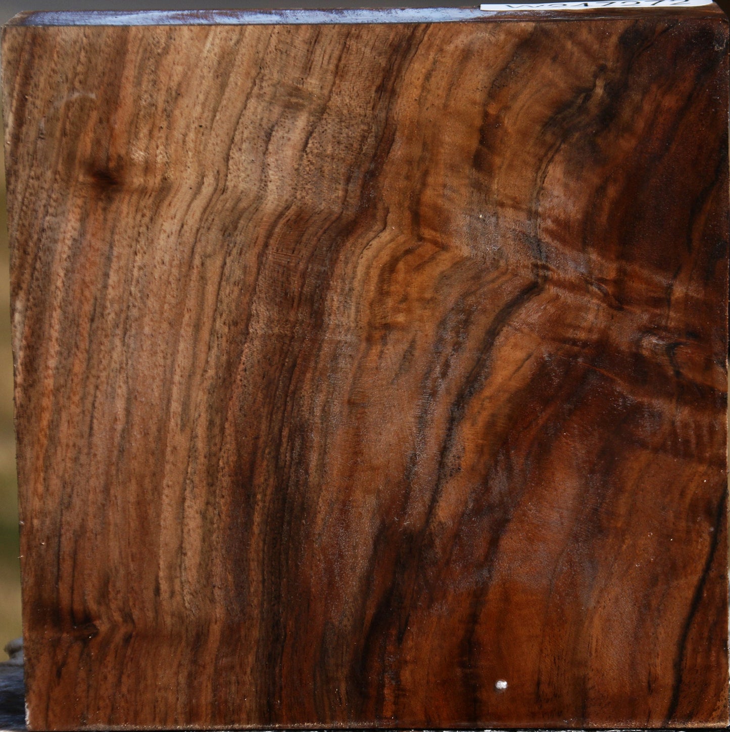 Extra Fancy English Walnut Bowl Blank