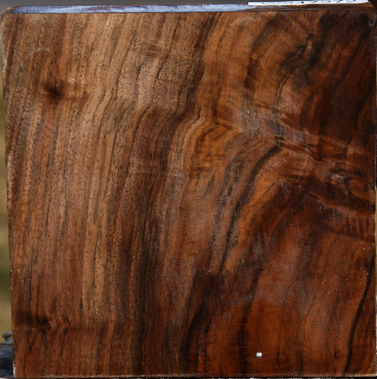 Extra Fancy English Walnut Bowl Blank