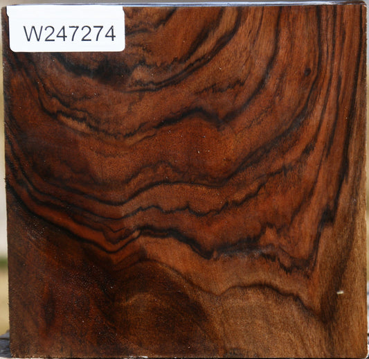 Exhibition English Walnut Bowl Blank