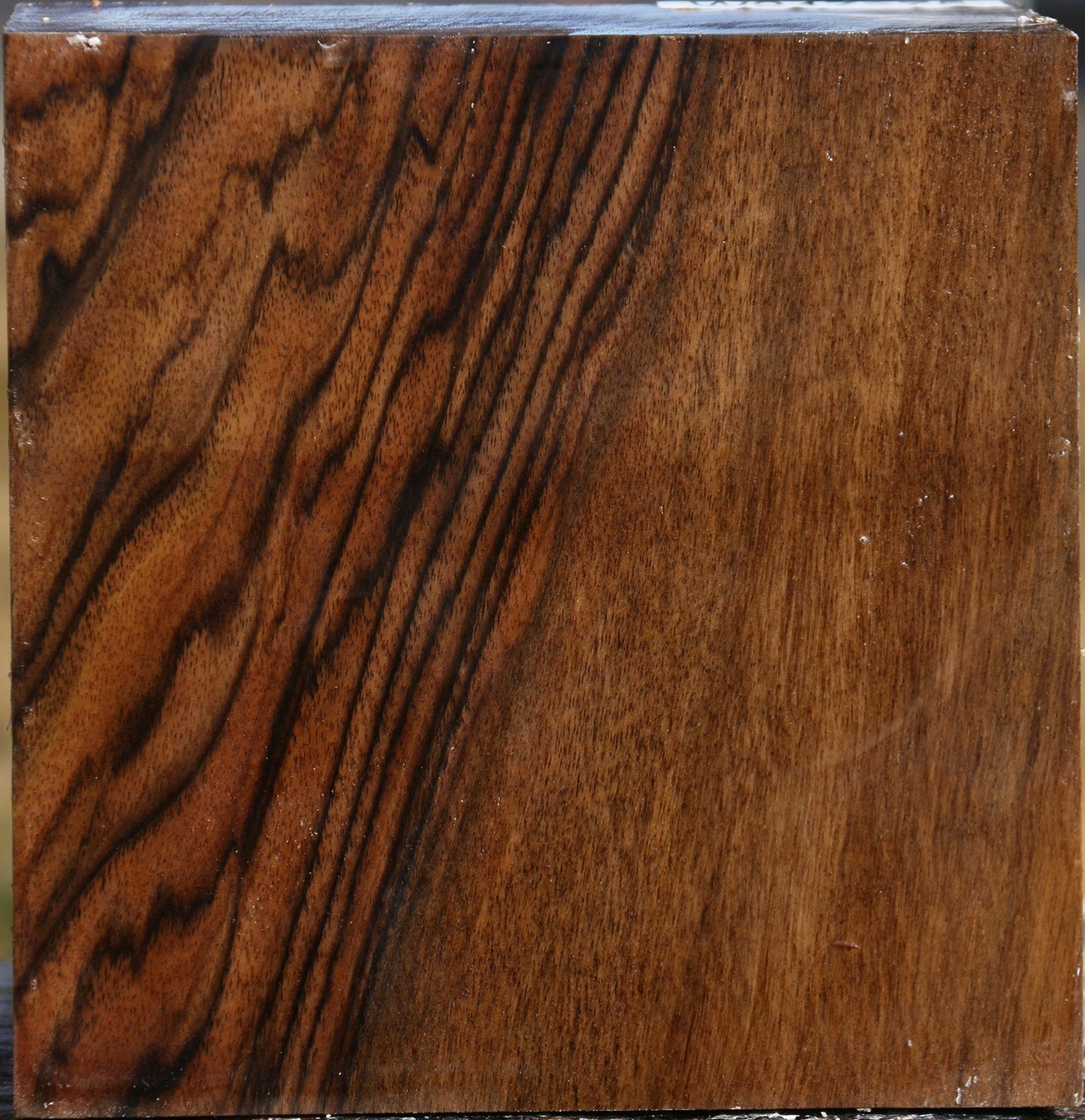 Extra Fancy English Walnut Bowl Blank
