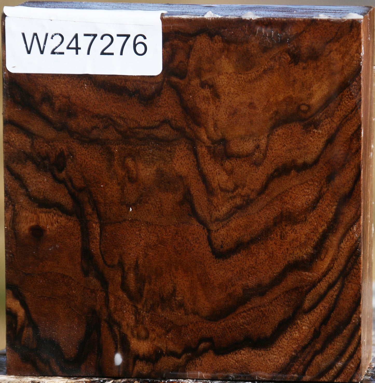 Extra Fancy English Walnut Bowl Blank