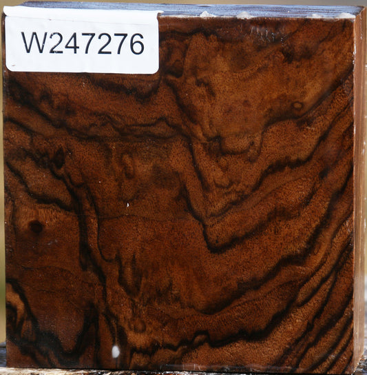 Extra Fancy English Walnut Bowl Blank