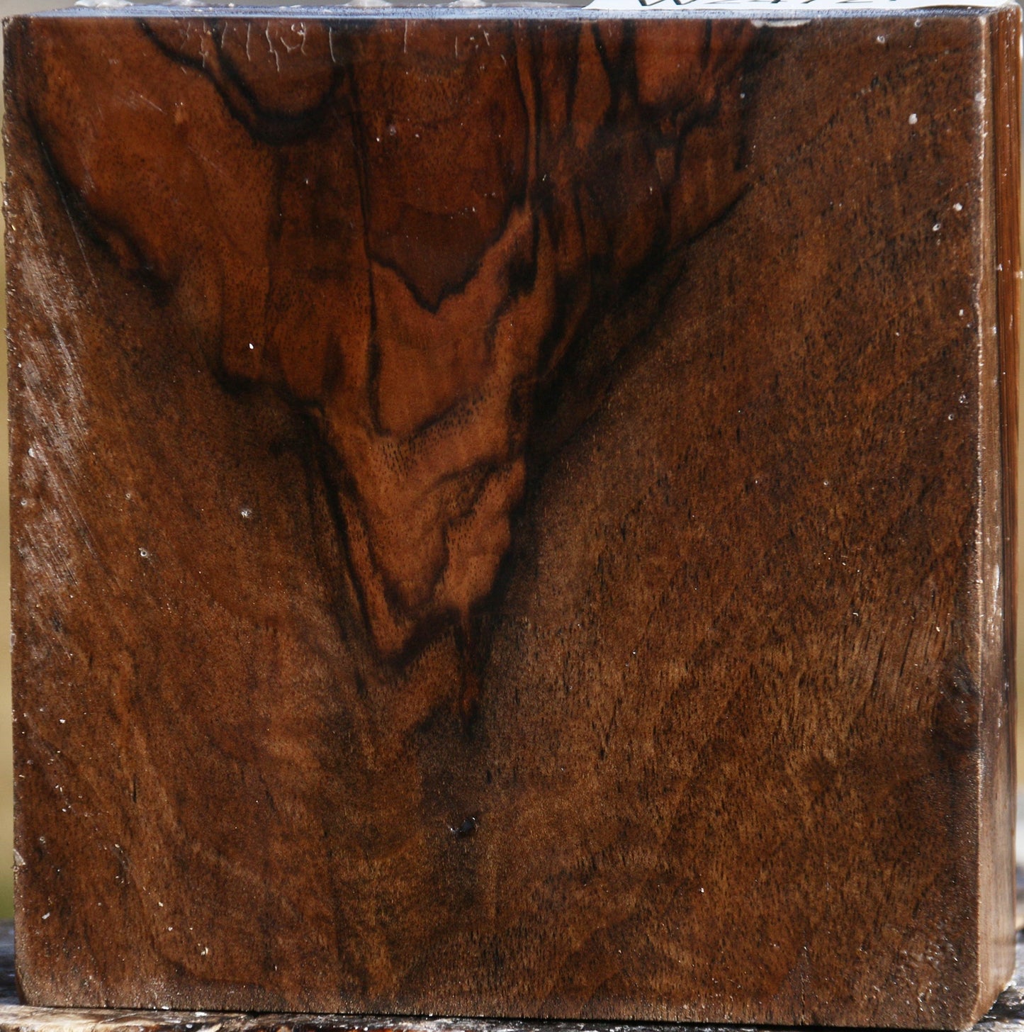 Extra Fancy English Walnut Bowl Blank