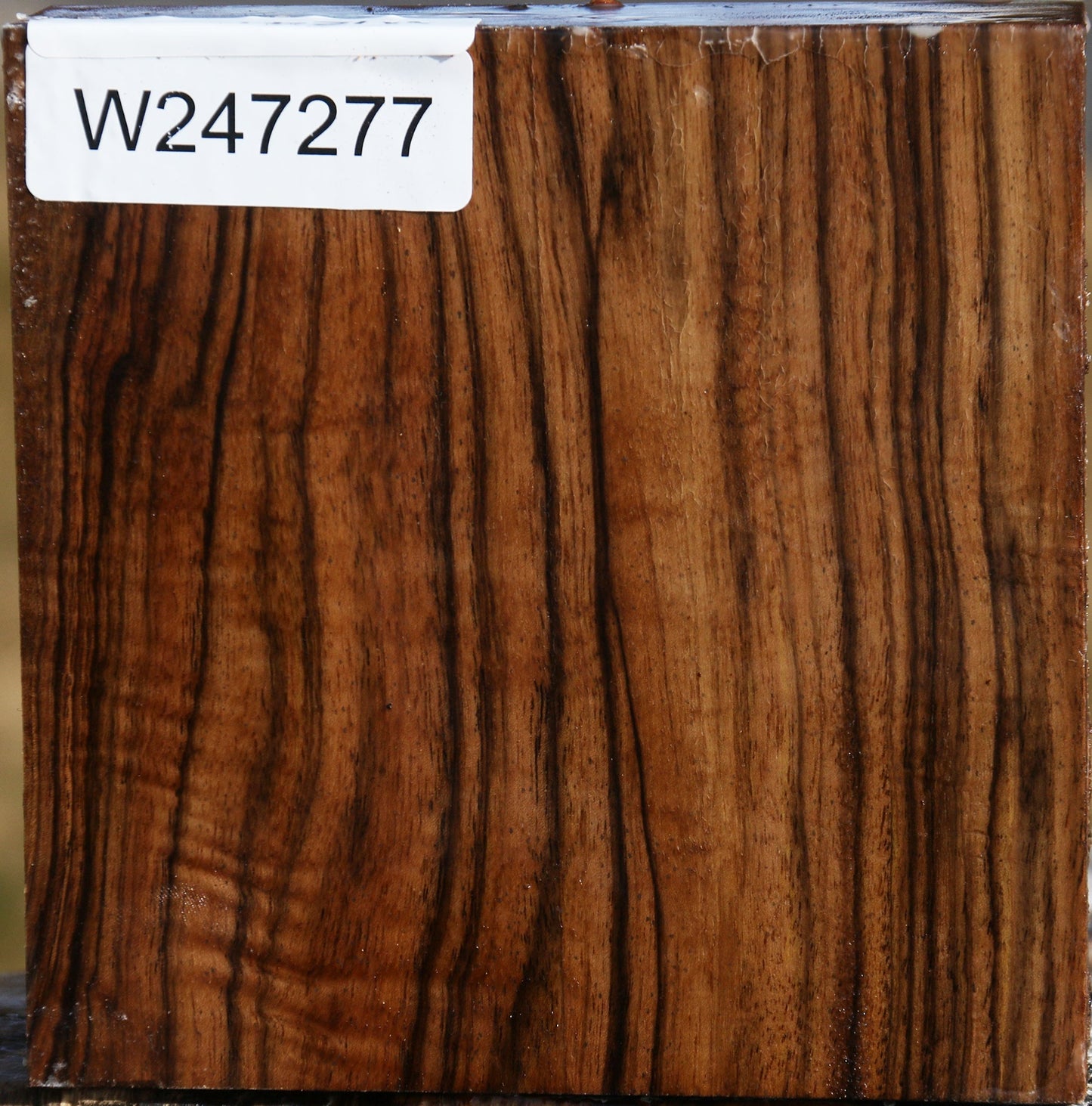 Extra Fancy English Walnut Bowl Blank