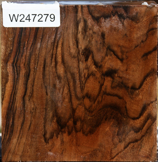 Extra Fancy English Walnut Bowl Blank