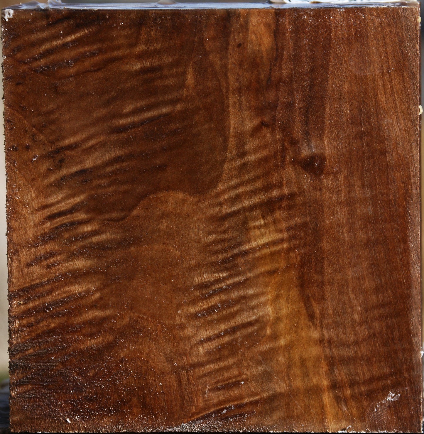 Extra Fancy English Walnut Bowl Blank