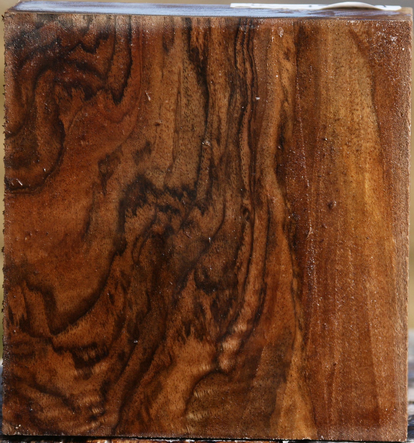 Extra Fancy English Walnut Bowl Blank