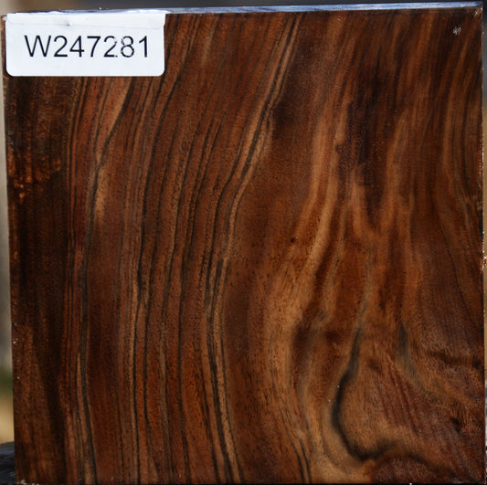 Figured English Walnut Bowl Blank